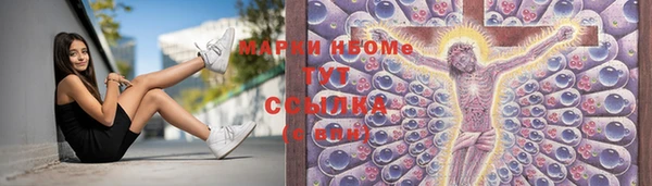 mdpv Бородино