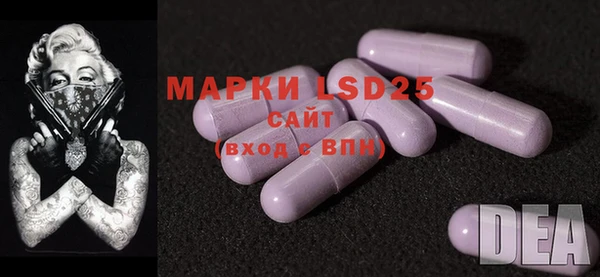 mdpv Бородино