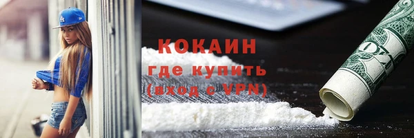 mdpv Бородино