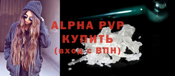 mdpv Бородино