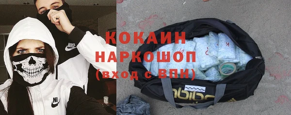 mdpv Бородино