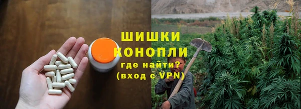 бутират Богданович