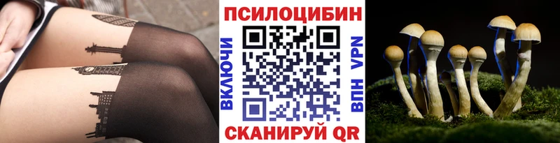 kraken рабочий сайт дарнет шоп Дальнегорск Псилоцибиновые грибы мицелий
